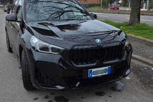 BMW X1 X25E