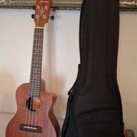 ukulele alvarez amplificato Nuovo 