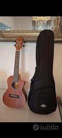 ukulele alvarez amplificato Nuovo 