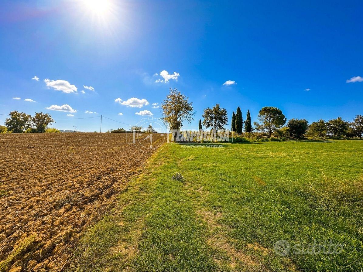 TERRENO AGRICOLO - Vista 3