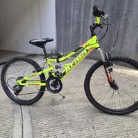 Bicicletta mountain