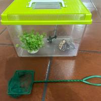 Acquario in plastica