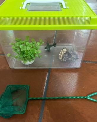 Acquario in plastica