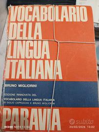 vocabolario lingua italiana 