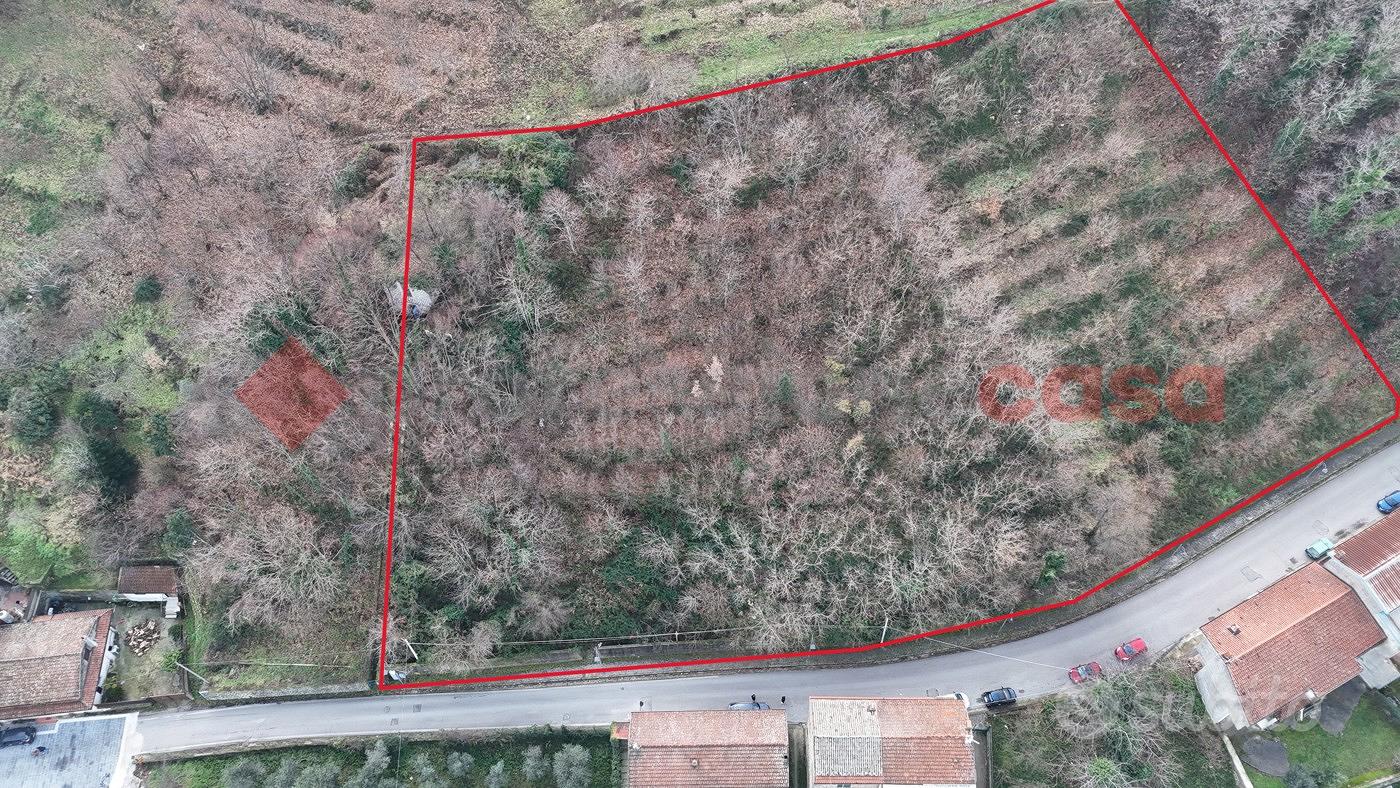 Terreno Agricolo Cervinara [Cod. rif 3268874VCG] - Altro