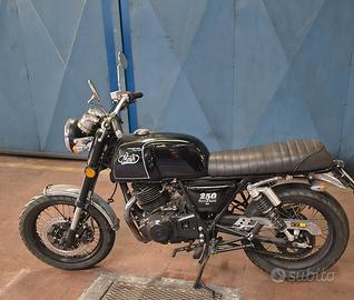 Mash Black Seven 250 - 2021