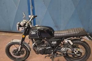 Mash Black Seven 250 - 2021