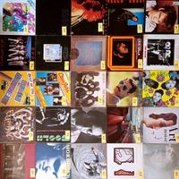 Dischi rock 33 giri in vinile 