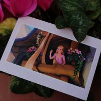 frame del film rapunzel (Tangled)