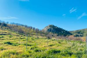 Terreno 10 ettari