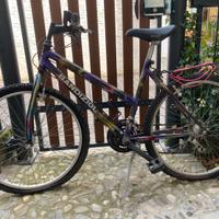 Mountain Bike donna