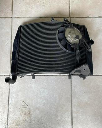 Radiatore Honda CBR RR 2008