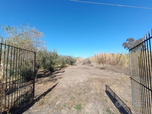 Terreno Agricolo di 13.500 Belpasso - Motta Sant'A