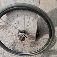 Coppia di Cerchi per freni a disco 