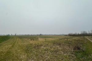 LOTTI DI TERRENO AGRICOLO