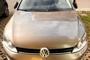 Volkswagen Golf VII 1.6 TDI 110 CV HGL Perfetta!