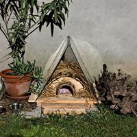 Casetta da giardino per Ricci o Cavie  