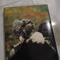 Enciclopedia degli animali 