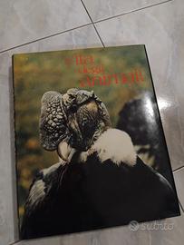 Enciclopedia degli animali 