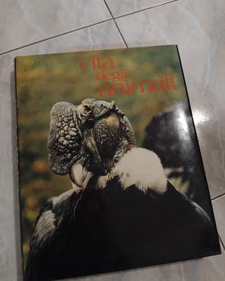 Enciclopedia degli animali 