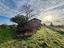 Immagine 16