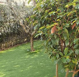 Villa a Carmignano, 4 locali