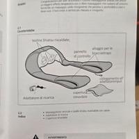 massaggiatore cervicali 