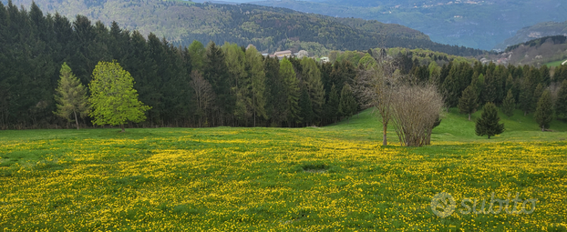 Terreno agricolo con possibilità di costruir