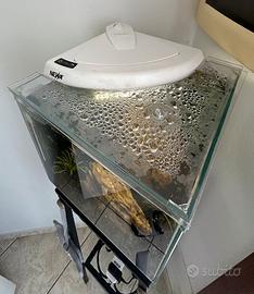 Acquario Newa  More