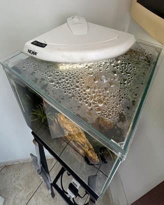 Acquario Newa  More