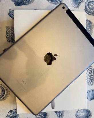 iPad 128GB WiFi + Cellular