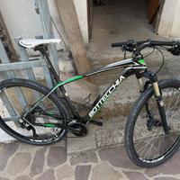Mtb bottecchia