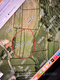 Terreno agricolo Tenno