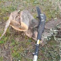 Sega a batteria green work