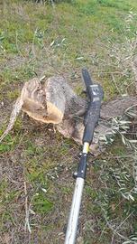 Sega a batteria green work