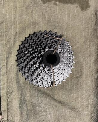 Pignoni Shimano CS-HG50-9 11-34t