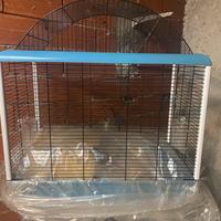Gabbietta per uccellini