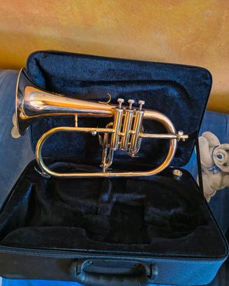 Flicorno soprano Grassi GRF 500 MKll