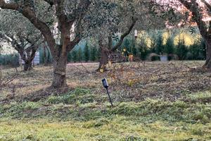 Vuoi un orto da coltivare a Civitanova ?