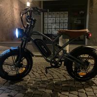 Fat e-bike