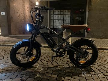 Fat e-bike