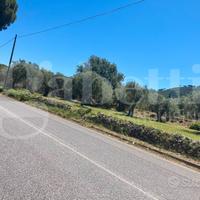 Terreno Agricolo Messina [Cod. rif 3297801VCG]