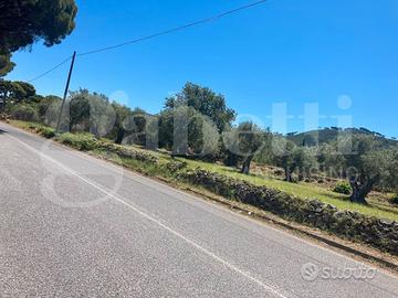 Terreno Agricolo Messina [Cod. rif 3297801VCG]