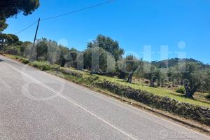 Terreno Agricolo Messina [Cod. rif 3297801VCG]