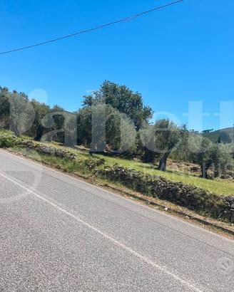 Terreno Agricolo Messina [Cod. rif 3297801VCG]