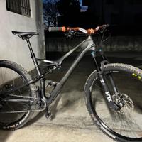Specialized camber 2019