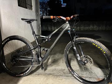 Specialized camber 2019