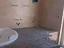 Immagine 7