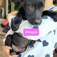 Bimbi ?