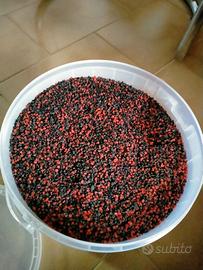 ghiaino per acquario 